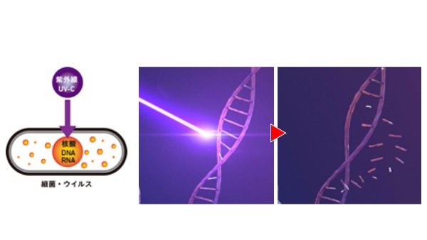UV_DNA.jpg