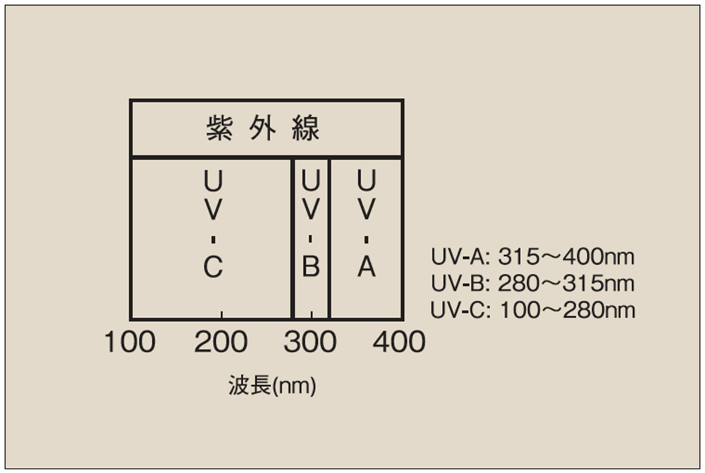 紫外線の種類（UV-C・UV-B・UV-A）に関する解説図