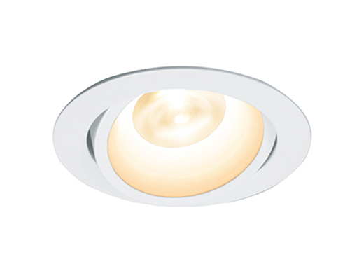 ダウンライト（100V仕様）D-EX16 BH