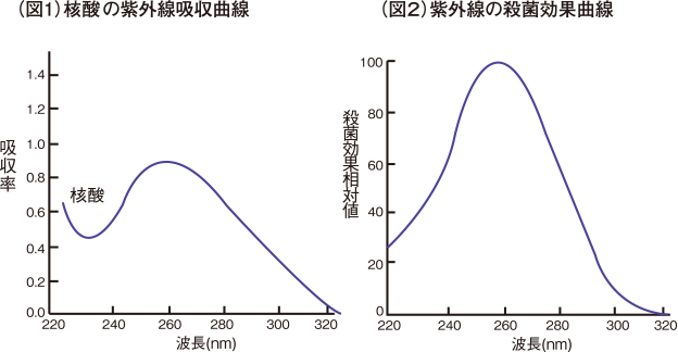 拡散の紫外線吸収